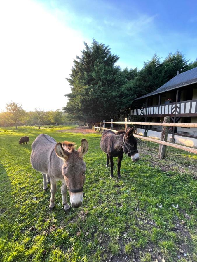 Domaine De Geffosse Hotell Pont-Évêque Exteriör bild